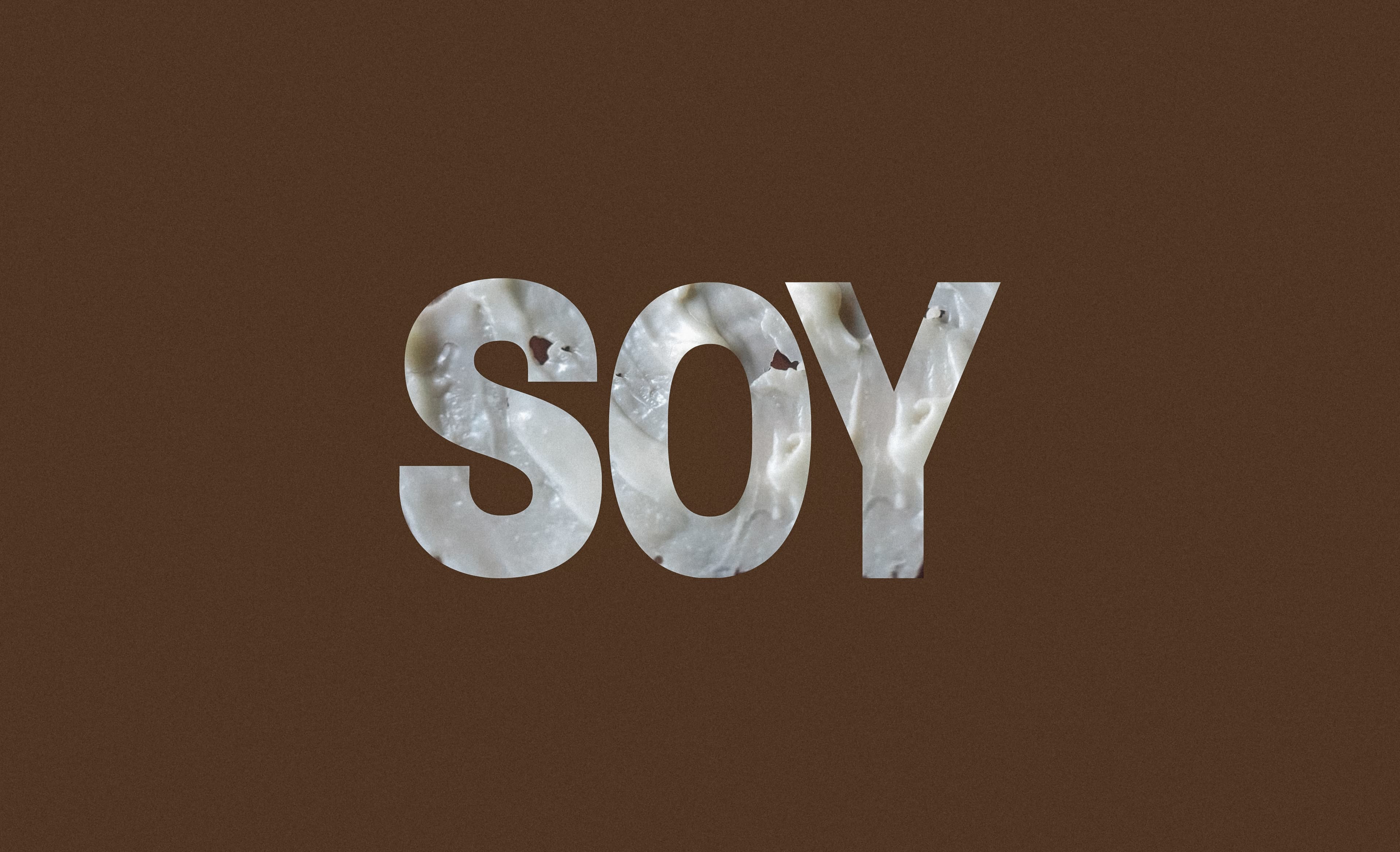 Soy
